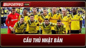 dortmund cầu thủ nổi tiếng